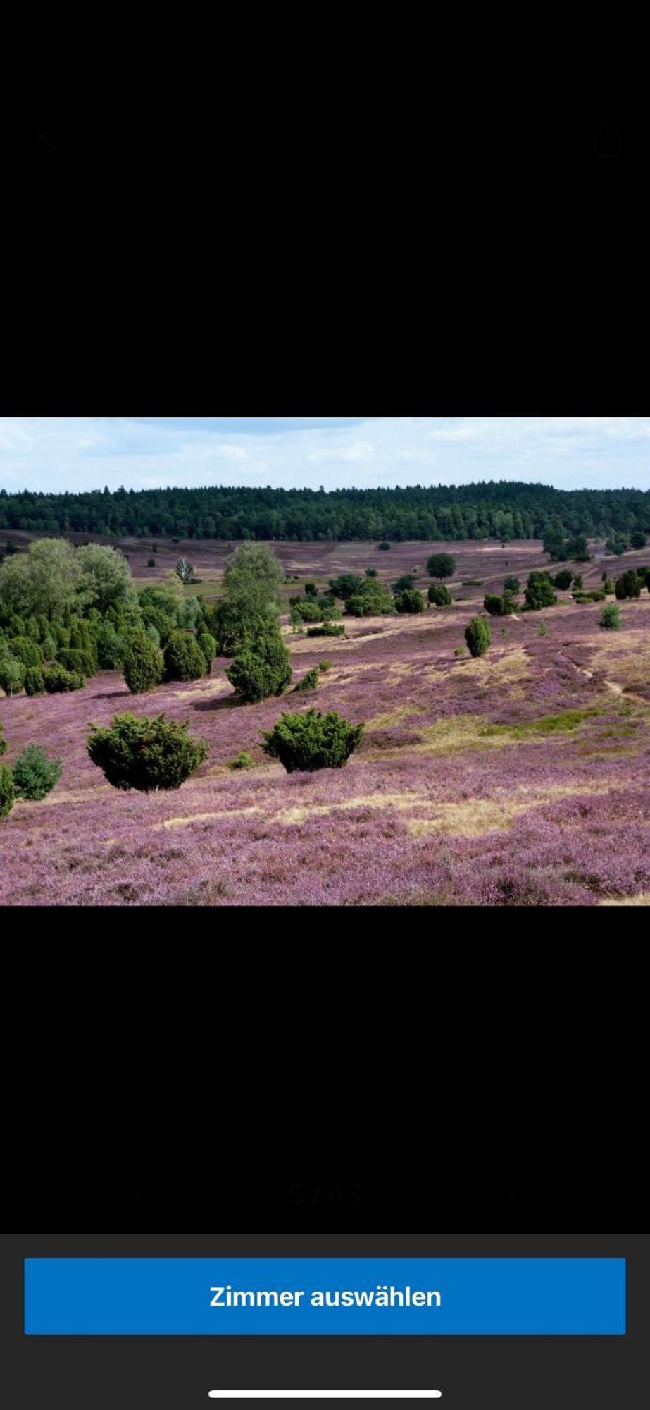 Landhotel Vessens Hoff Buchholz in der Nordheide Eksteriør billede