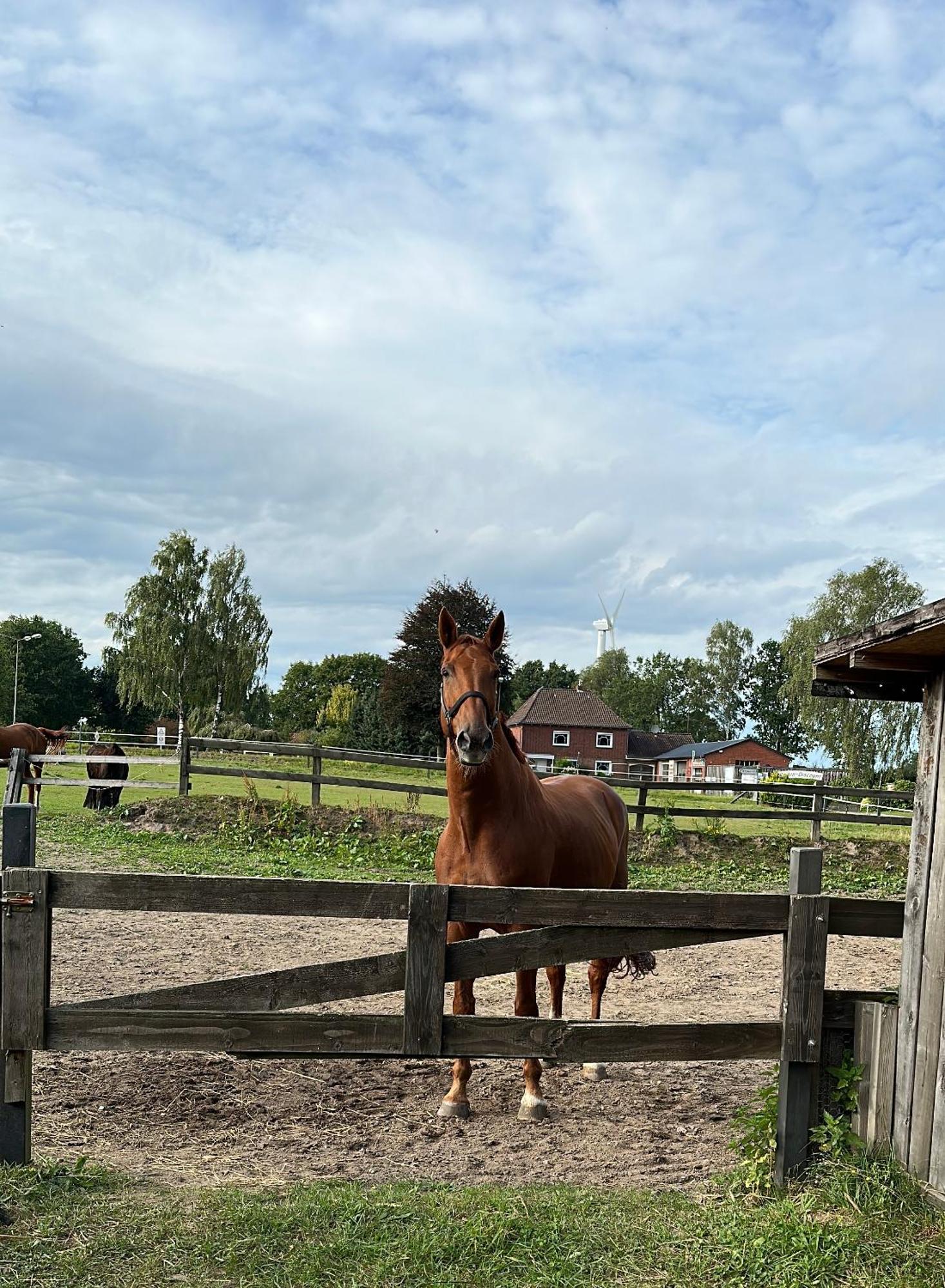 Landhotel Vessens Hoff Buchholz in der Nordheide Eksteriør billede